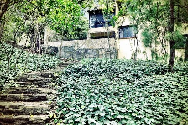 A garden path at Hotel Chipinque