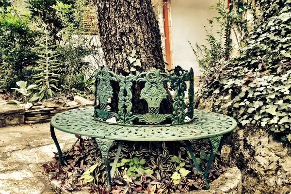 A bench around a tree at Hotel Chipinque