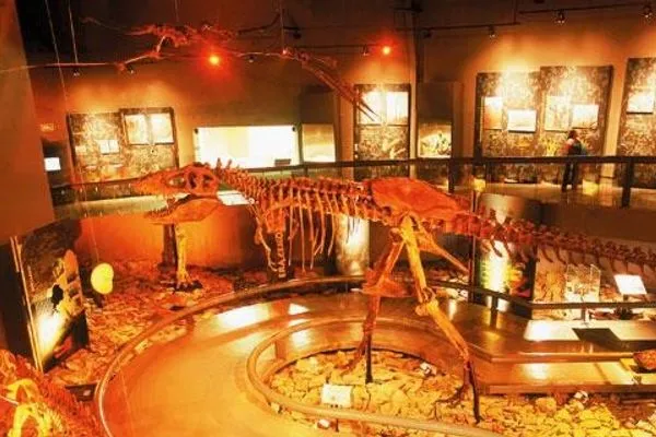 The audience gathering at the Desert Museum